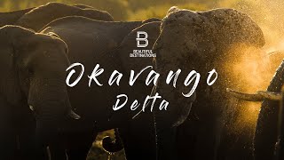 Botswana’s Okavango Delta  Heaven on Earth [upl. by Woll]