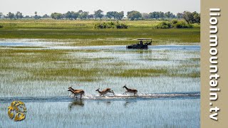 The Okavango Delta [upl. by Kcorb872]