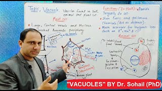 Vacuoles Structure and Functions [upl. by Coshow]