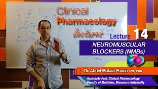 Autonomic Pharmacology Ar  Lec 14  Neuromuscular blockers NMBs [upl. by Som]