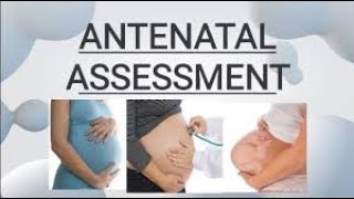 ANTENATAL ASSESSMENT  FULL DETAILS [upl. by Jerrilyn]