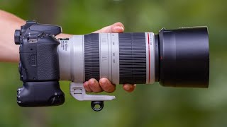 The BEST CANON 90D Wildlife Settings [upl. by Jed]