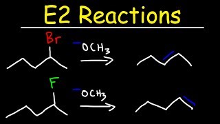 E2 Reaction Mechanism  Hoffman Elimination vs Zaitsevs Rule [upl. by Drageruaeb934]