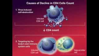 How HIV Causes Disease [upl. by Yob]