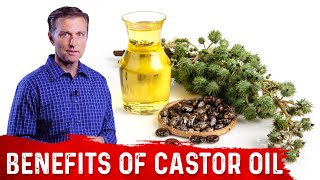 Interesting Benefits Of Castor Oil – Dr Berg [upl. by Marthe273]