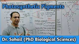 Photosynthetic Pigments  Structure of Chlorophyll  Accessory Pigments  11th Biology [upl. by Ayek385]