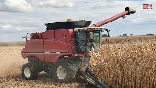 INTERNATIONAL HARVESTER Combines [upl. by Plate838]