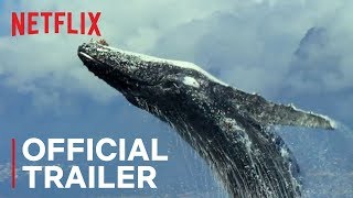 Our Planet  Official Trailer HD  Netflix [upl. by Annahs]