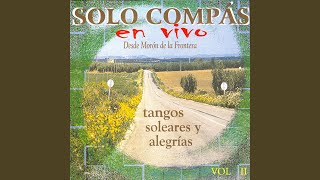 Tangos Solo Compas [upl. by Ococ]