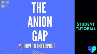 The Anion Gap  How To Interpret [upl. by Vevay]