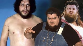 Andre the Giant vs Giant Haystacks amp Haystacks Calhoun [upl. by Lsiel]