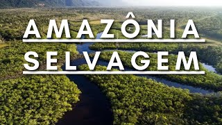 Amazônia Selvagem  Berço da vida  Documentário dublado HD [upl. by Ikin334]