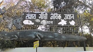 Inside Sanjay Gandhi Jaivik Udyan  Patna Zoo Patna Bihar  A Paradise In Chaos [upl. by Levan]