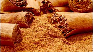 Top 6 Health Benefits Ceylon Cinnamon [upl. by Eisen]