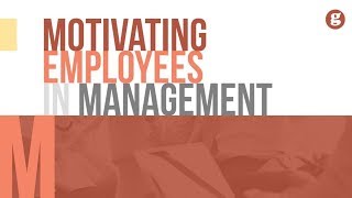 Motivating Employees in Management [upl. by Bahner740]