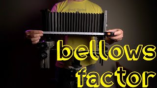 Easy Bellows Extension Factor [upl. by Stefanac965]