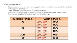 Codominance and Multiple Alleles [upl. by Donna]