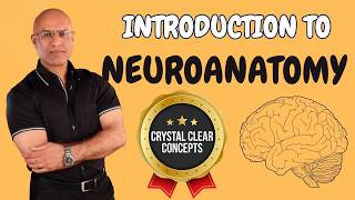 Intro to Neuroanatomy  Neurophysiology  Neuroscience  Central Nervous System [upl. by Anecusa]