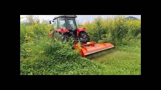 Kubota Mulcher Demo [upl. by Marte]