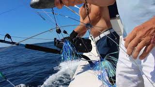 Offshore Fishing Tip Deploying a Dredge [upl. by Orfinger825]