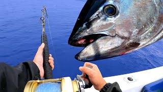 GIANT BLUEFIN TUNA FISHING [upl. by Cheryl]