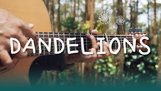 dandelions  ruth b fingerstyle [upl. by Ursa]