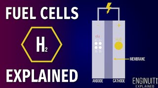 Hydrogen Fuel Cell How It Works [upl. by Aldridge]