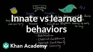 Operant conditioning Innate vs learned behaviors  Behavior  MCAT  Khan Academy [upl. by Cullin]