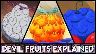 Explaining Devil Fruits  Everything You Need To Know  One Piece Explained [upl. by Uv]