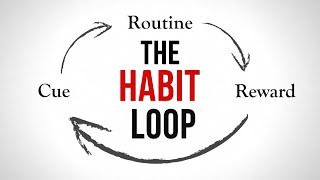 The Habit Tier List  32 Habits Which one should you build next [upl. by Yrian198]