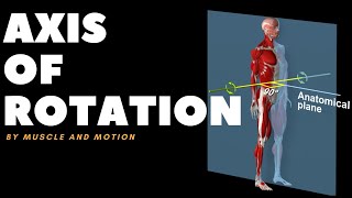 Understanding Axes of MovementRotation [upl. by Nosyrb]