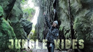 Te Waikoropupu Springs amp The Grove  Takaka  South Island New Zealand Road Trip Vlog 34 [upl. by Eolc]