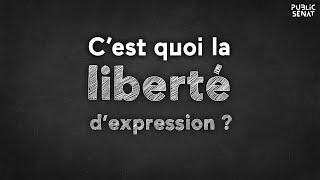 Cest quoi la liberté dexpression [upl. by Hgielrac]