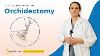 Steps of histological study fixation [upl. by Peggy390]