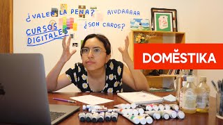 Aprendiendo ilustración con DOMESTIKA Mi experiencia [upl. by Corny]