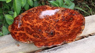 Power carving a burl bowl [upl. by Anilra]