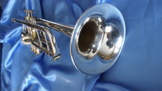 Review Getzen Renaissance Bb Trumpet [upl. by Zsuedat211]