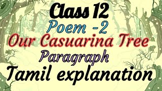 Class 12 Poem 2 Our Casuarina Tree Poem paragraph Part1Tamil Explanation Gramathukkum Grammar [upl. by Orual]