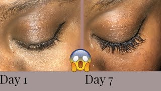 7 DAY OF CASTOR OIL GREW MY EYELASHES CRAZY RESULTS [upl. by Luaped]