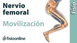 Flexibilización y movilización del nervio femoral [upl. by Llerrac]