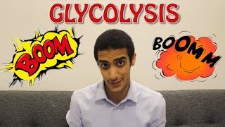 Glycolysis Step by Step شرح بالعربي [upl. by Myer245]