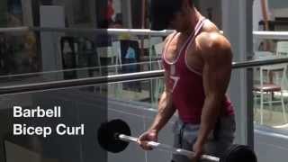 Barbell Bicep Curl [upl. by Norrej]