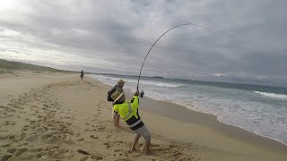 Sydney BEACH FISHING Session Ep3 [upl. by Buff205]