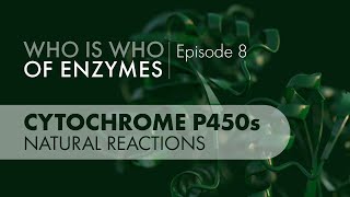 Who Is Who of Enzymes Cytochrome P450 Monooxygenases Natural Reactions [upl. by Alidus420]