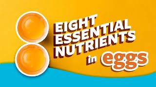 8 Essential Nutrients in Eggs  Ask Organic Valley [upl. by Enyr]