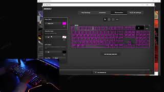 Apex Pro Keyboard how to setup your RGB lighting [upl. by Adiaj]