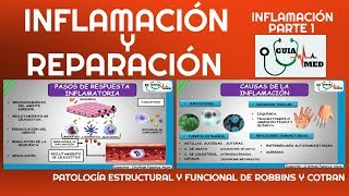 INFLAMACIÓN Y REPARACIÓN PATOLOGÍA ROBBINS  GuiaMed [upl. by Ninette]