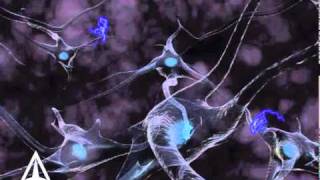 How Neurotransmission amp brain signals work  3D animation [upl. by Natalina]