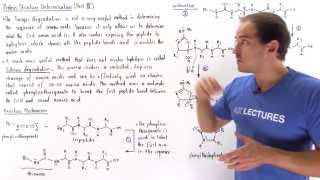 Edman Degradation [upl. by Neumeyer]