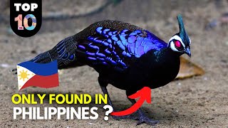 10 RARE Animals Only Found in the Philippines 🇵🇭 [upl. by Heddie]